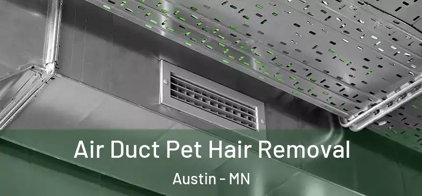 Air Duct Pet Hair Removal Austin - MN