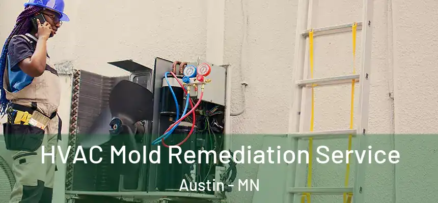  HVAC Mold Remediation Service Austin - MN