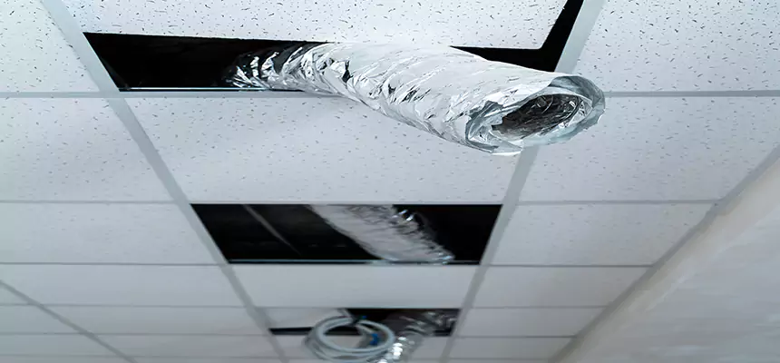 Affordable HVAC Sanitizing After Pest Removal in Austin