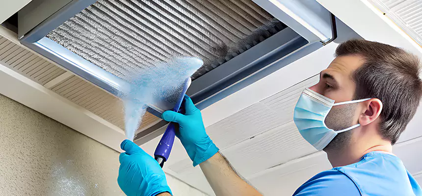 Proactive Dryer Vent & Auxiliary Duct Pollen Cleanup in Austin, MN