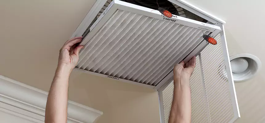Our Insect Removal from Air Ducts Services in Austin, MN