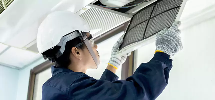 Our Mold & Mildew Removal from Air Ducts Services in Austin, MN