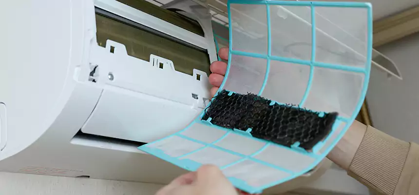 Gentle Ductwork Odor-Control Pet Dander Duct Cleaning in Austin, MN