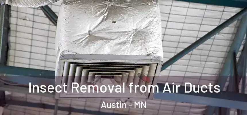 Insect Removal from Air Ducts Austin - MN