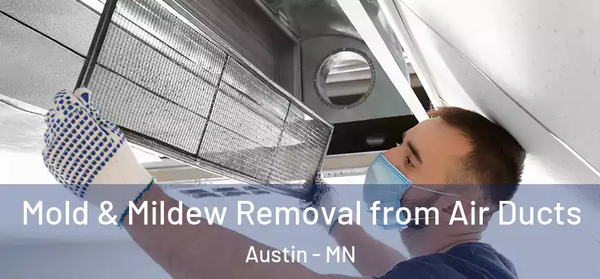 Mold & Mildew Removal from Air Ducts Austin - MN