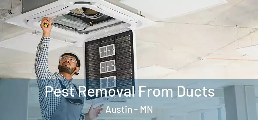 Pest Removal From Ducts Austin - MN