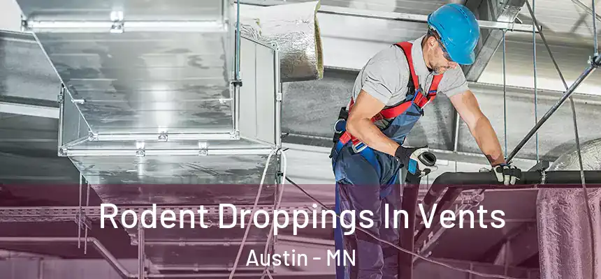 Rodent Droppings In Vents Austin - MN
