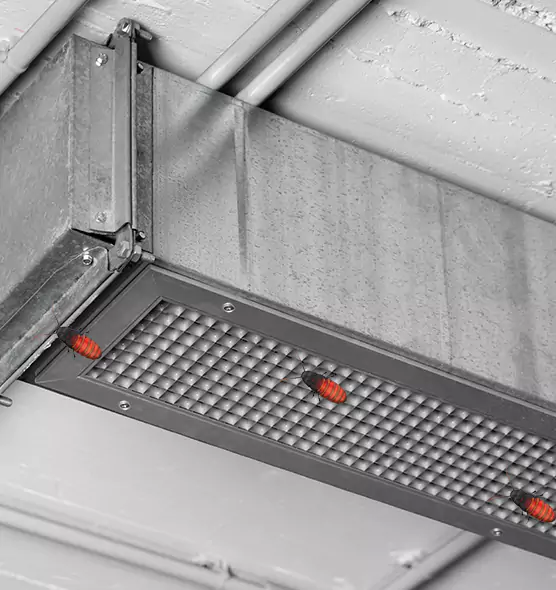 About Air Duct Cockroach Removal in Austin, MN