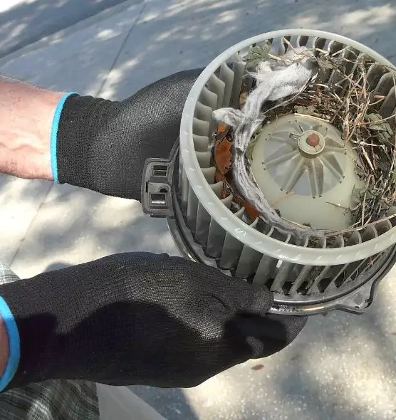 About Air Duct Rat Removal in Austin, MN