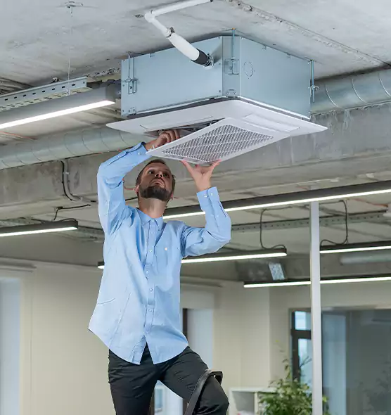 Advanced Rodent Droppings In Vents in Austin, MN