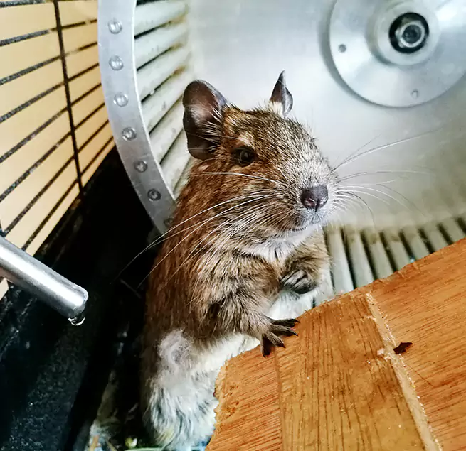 Why Homeowners & Businesses Trust Us Austin, MN?