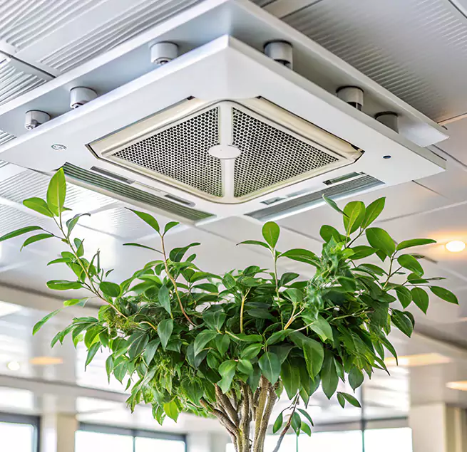 Why Homeowners & Businesses Trust Us in Austin, MN