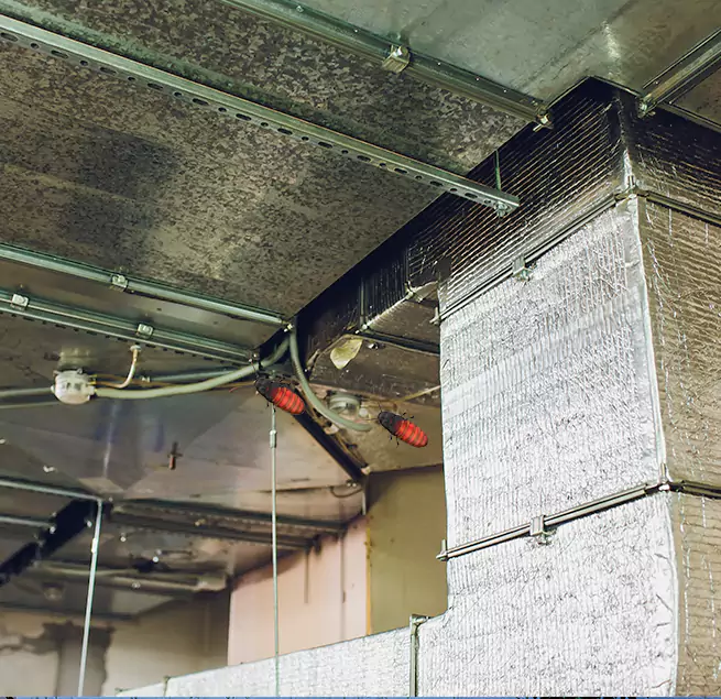 Why Homeowners & Businesses Trust Us Austin, MN?